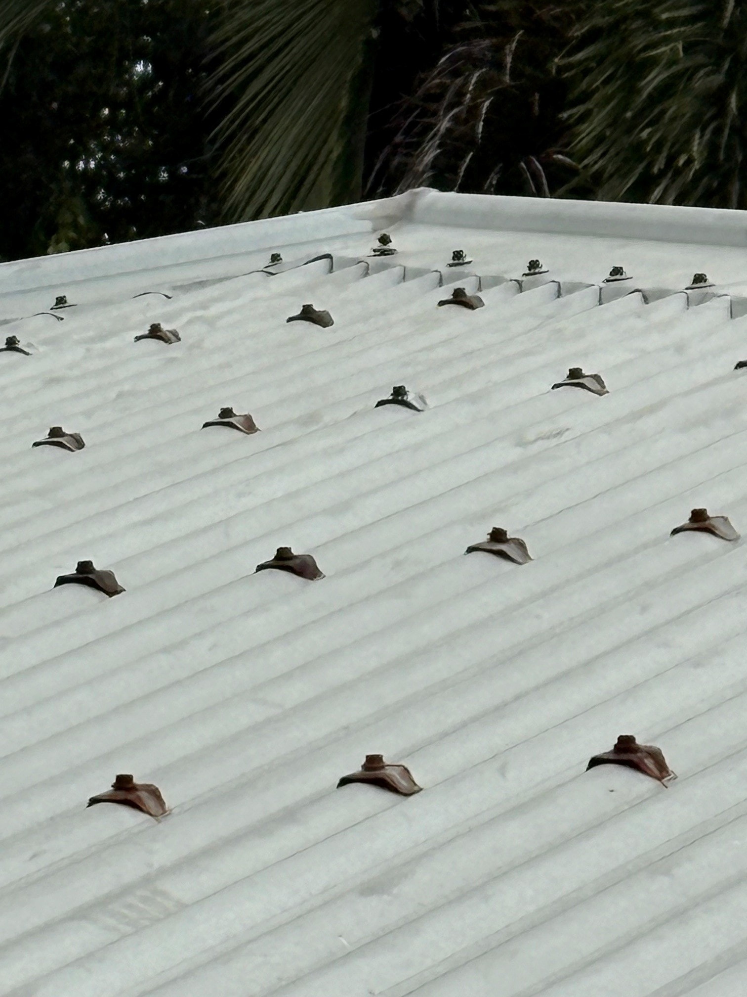 Roof Re Screws